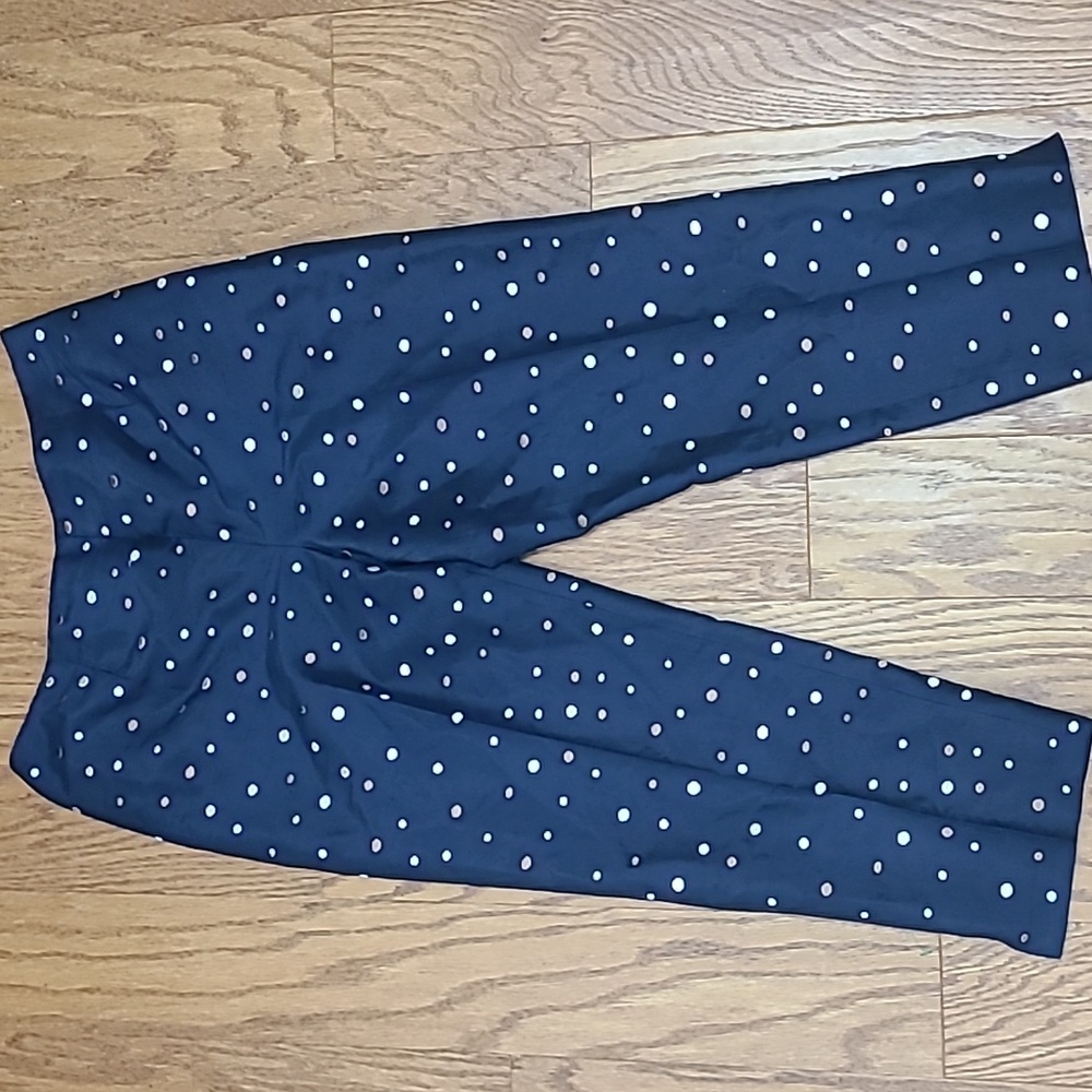 Talbots Blue Pants with Polka Dots and Slim Fit